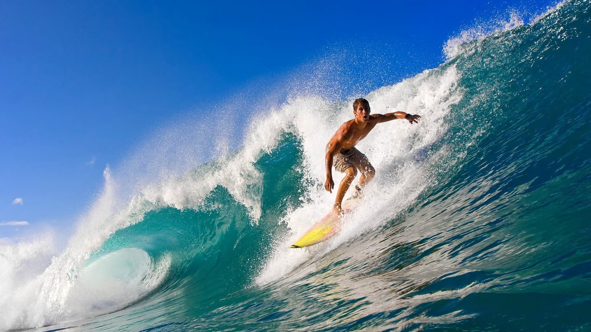 九游登录中心-体育消费平台上线专业运动推荐系统，体育服务消费